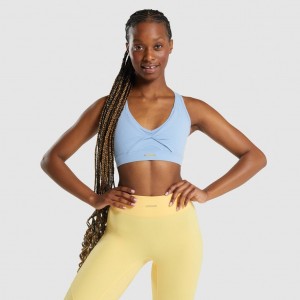 Sujetador Deportivo Gymshark Whitney Mesh Azules | 03ANULESV