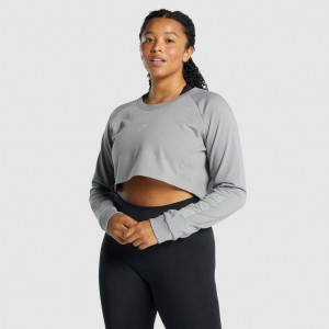 Suéteres Gymshark Apollo Estampadas Cropped Gris | 74XCTMYUH