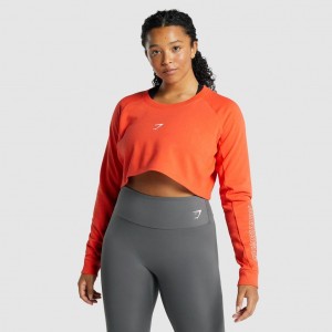 Suéteres Gymshark Apollo Estampadas Cropped Naranjas | 90XDUCRTZ