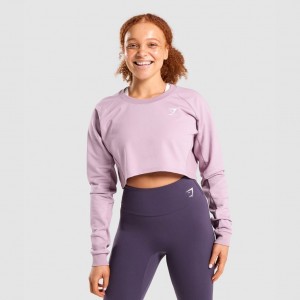 Suéteres Gymshark Entrenamiento Cropped Moradas Claro | 52FPZJCAY