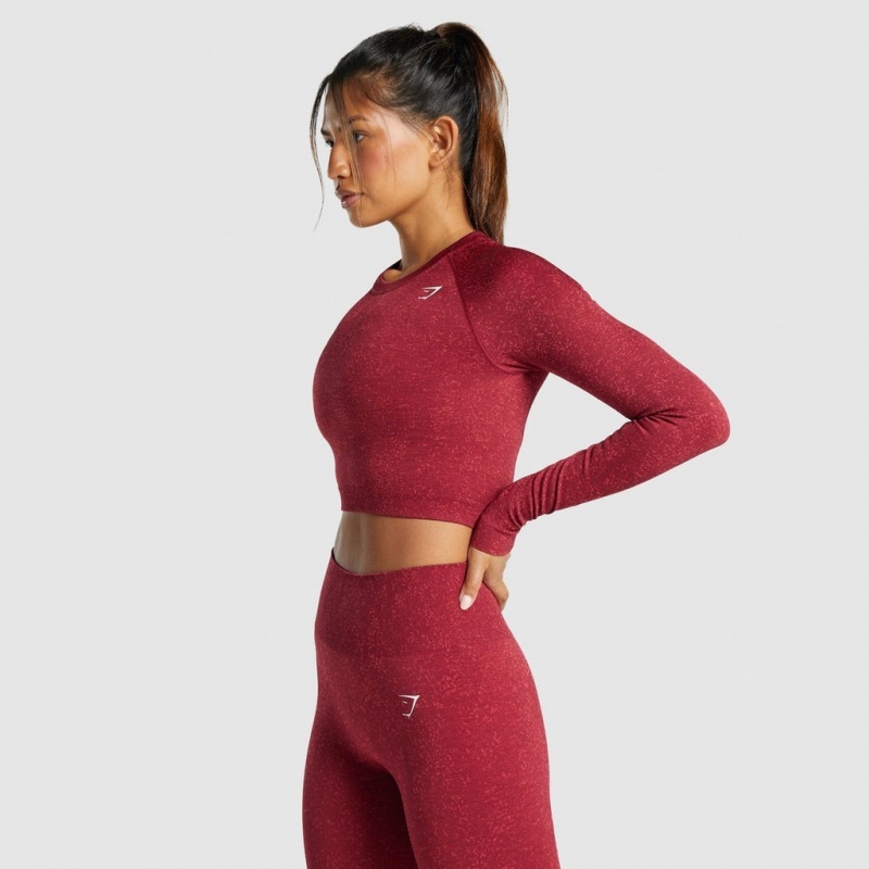 Camiseta Gymshark Adapt Fleck Seamless Long Sleeve Crop Mineral | 48WFZOUQA