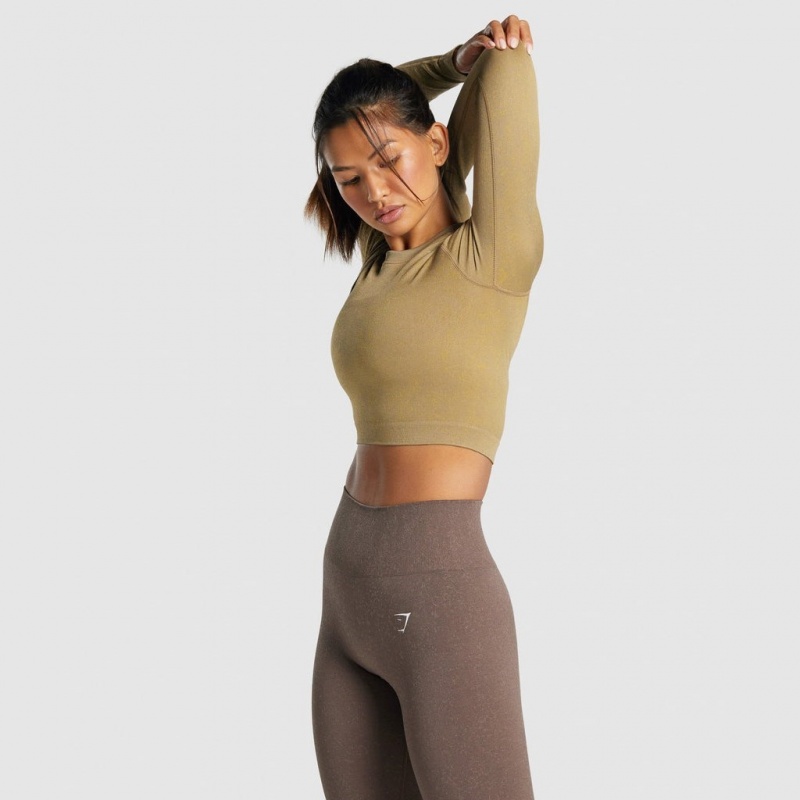 Camiseta Gymshark Adapt Fleck Seamless Long Sleeve Crop Mineral | 71SKTGREJ