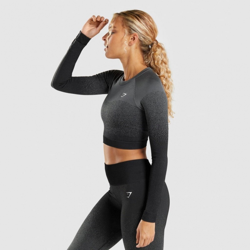 Camiseta Gymshark Adapt Ombre Seamless Long Sleeve Crop Negras Gris | 01XNECRLJ