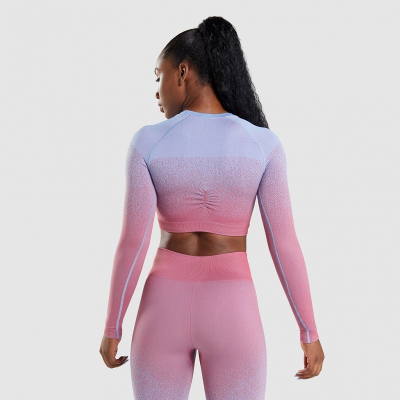 Camiseta Gymshark Adapt Ombre Seamless Long Sleeve Crop Rosas Rosas Azules Claro | 86TGPEIVJ