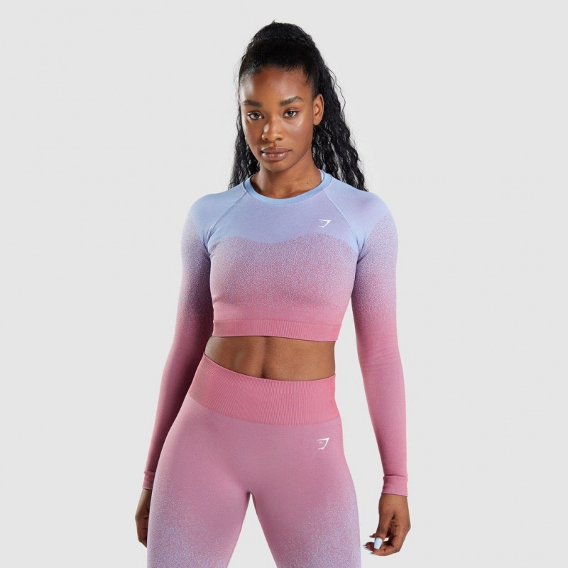 Camiseta Gymshark Adapt Ombre Seamless Long Sleeve Crop Rosas Rosas Azules Claro | 86TGPEIVJ