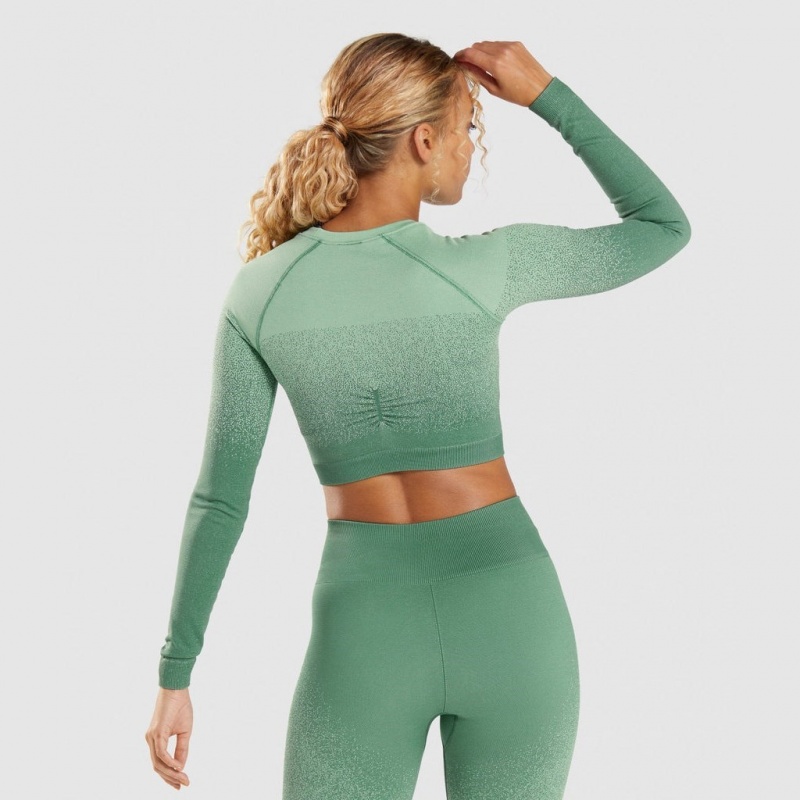 Camiseta Gymshark Adapt Ombre Seamless Long Sleeve Crop Verde Verde Claro | 86RZWXDPN