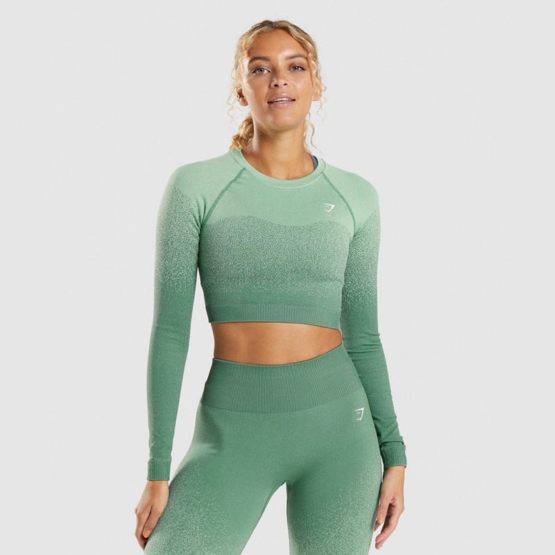 Camiseta Gymshark Adapt Ombre Seamless Long Sleeve Crop Verde Verde Claro | 86RZWXDPN