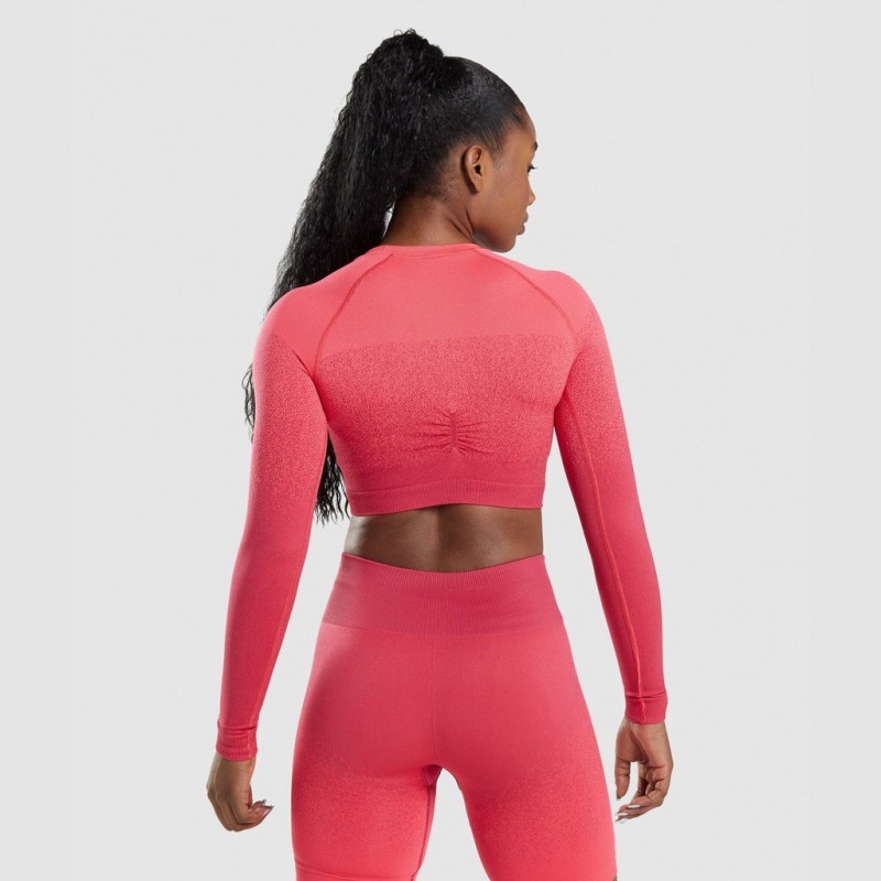 Camiseta Gymshark Adapt Ombre Seamless Long Sleeve Crop Rosas Rojas | 93URCFMVE
