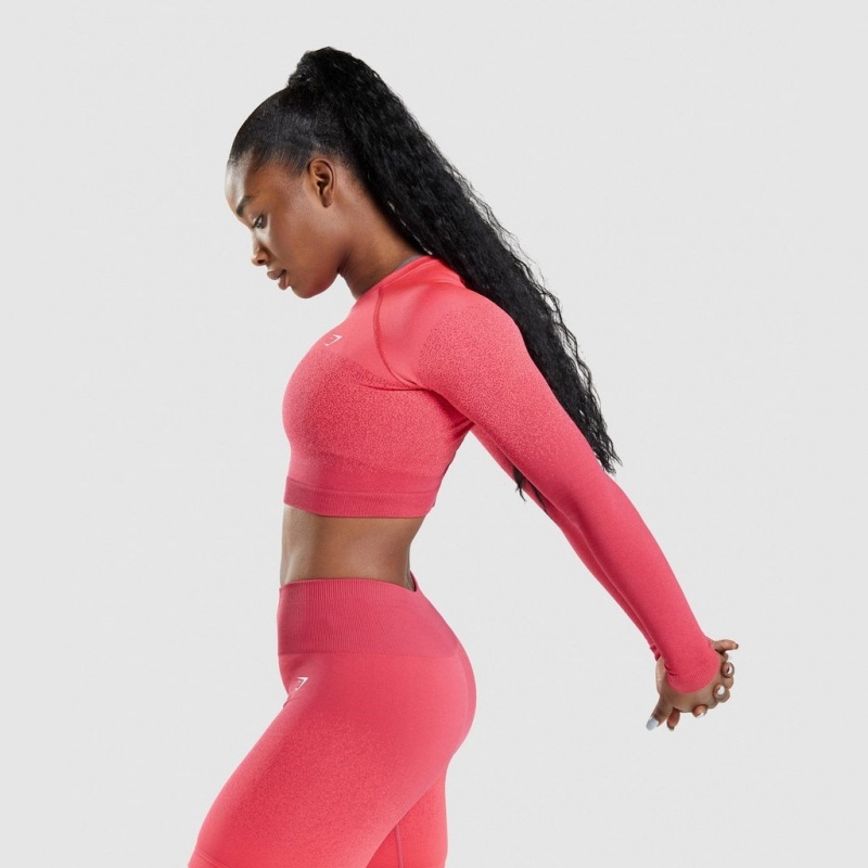Camiseta Gymshark Adapt Ombre Seamless Long Sleeve Crop Rosas Rojas | 93URCFMVE