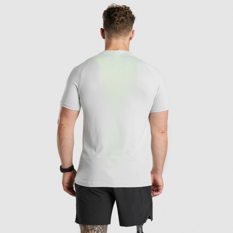 Camiseta Gymshark Apex Contrast Seamless Gris Claro | 17SBRGKEC