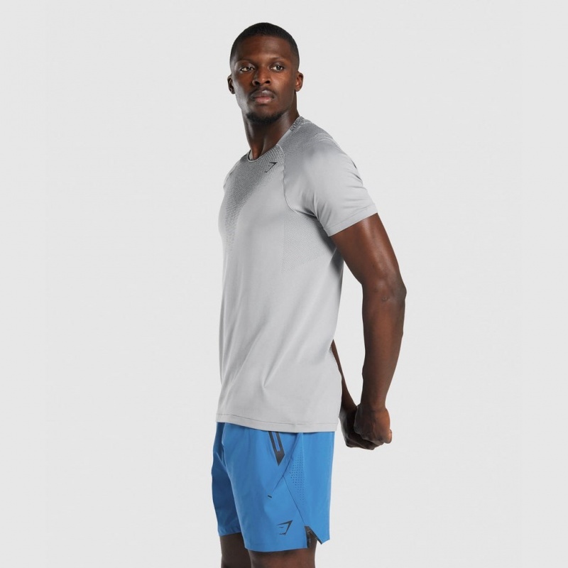 Camiseta Gymshark Apex Contrast Seamless Gris | 82EOINYAR
