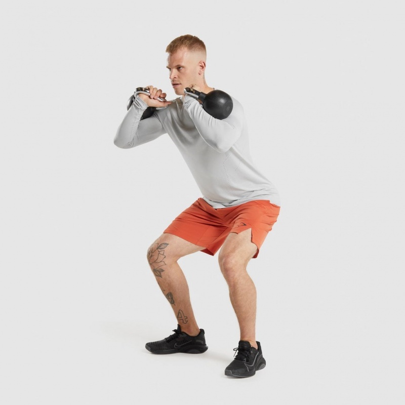 Camiseta Gymshark Apex Long Sleeve Gris Claro | 72XVQOBMN