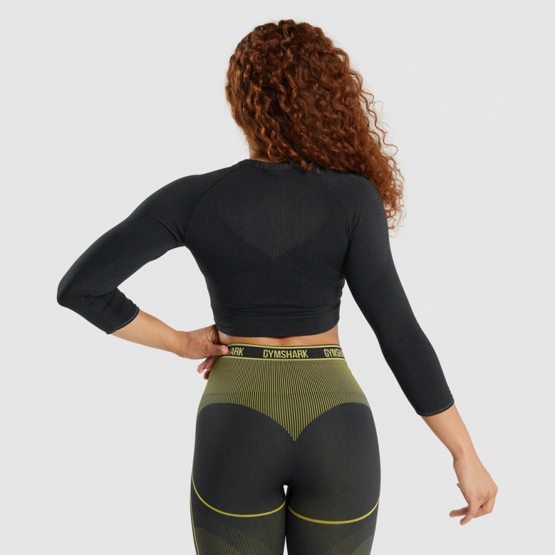 Camiseta Gymshark Apex Seamless Crop Negras | 02IJRXWQL