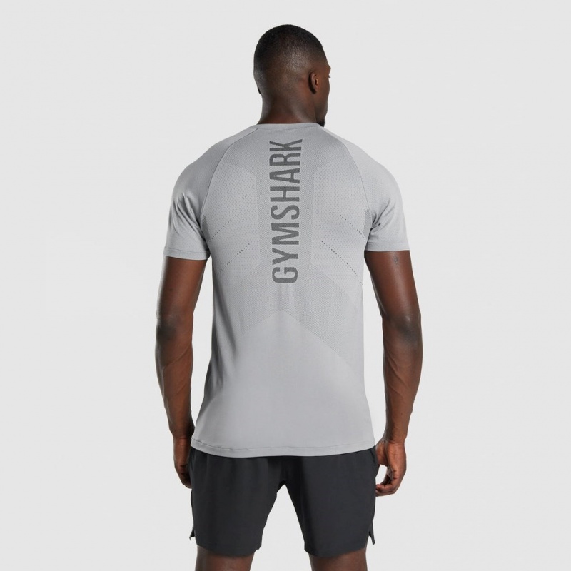 Camiseta Gymshark Apex Seamless Gris | 70ZGDJMFV