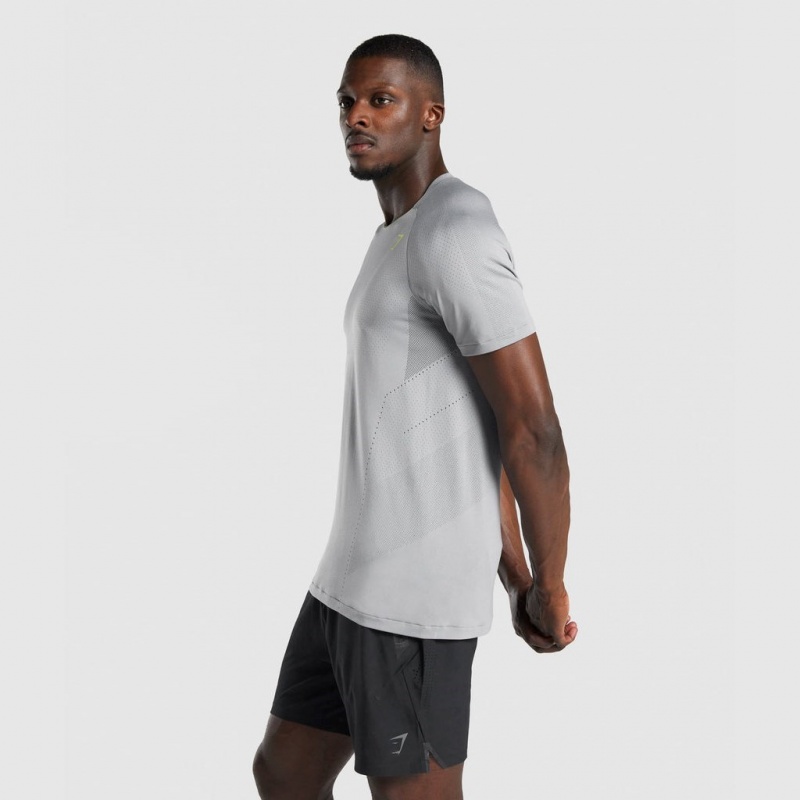 Camiseta Gymshark Apex Seamless Gris | 70ZGDJMFV