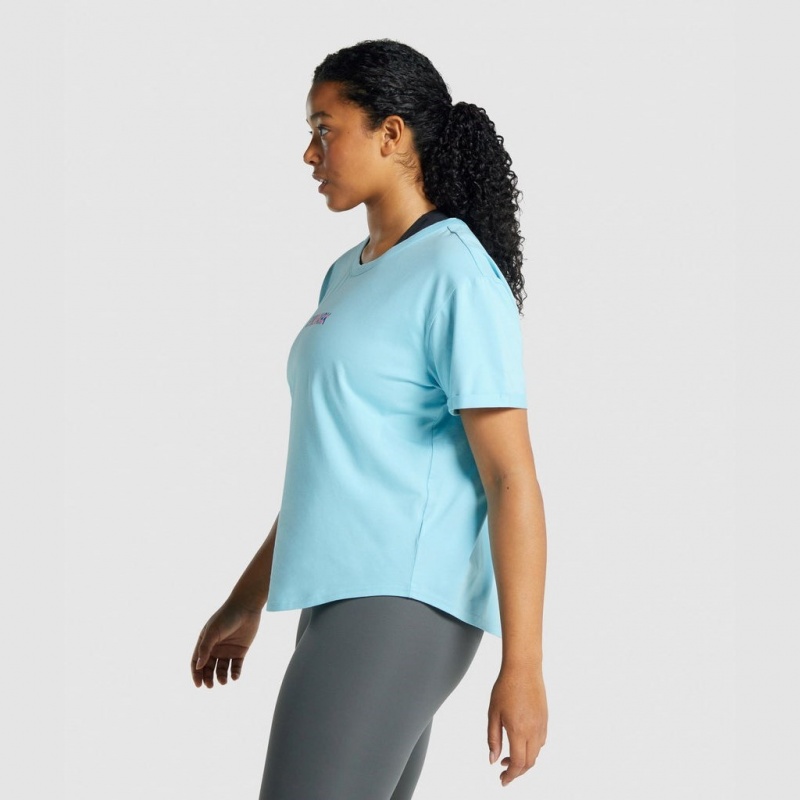 Camiseta Gymshark Apollo Estampadas Azules Claro | 37GWCKXTB