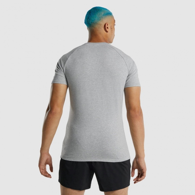 Camiseta Gymshark Apollo Gris Claro | 68LCNFSVI
