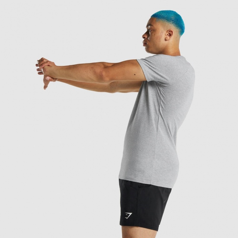 Camiseta Gymshark Apollo Gris Claro | 68LCNFSVI