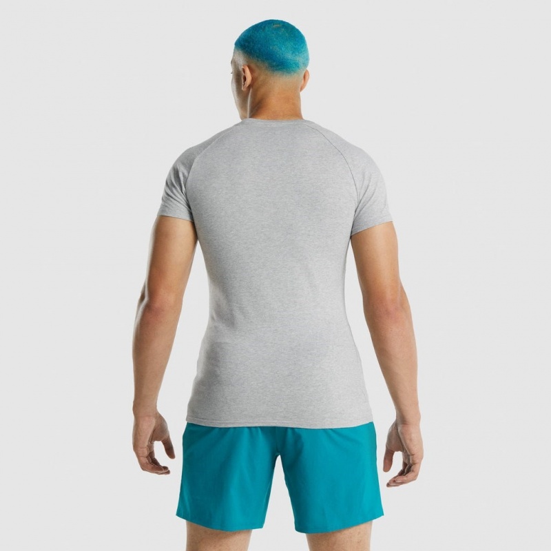 Camiseta Gymshark Apollo Gris Claro | 92HBKLVME