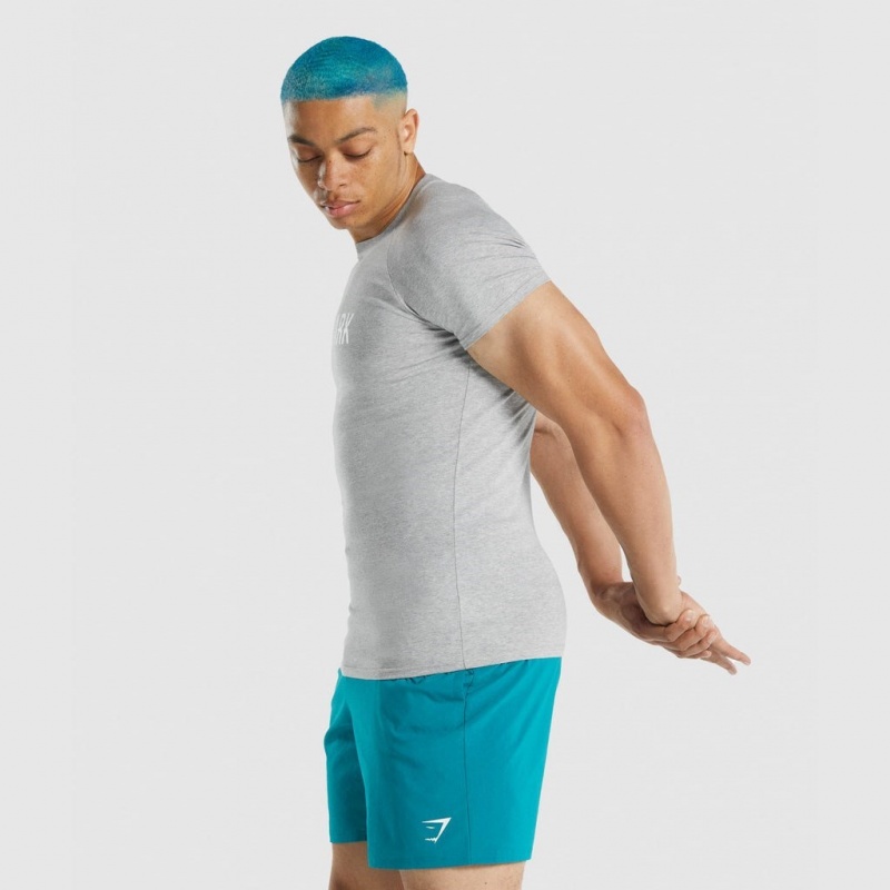 Camiseta Gymshark Apollo Gris Claro | 92HBKLVME
