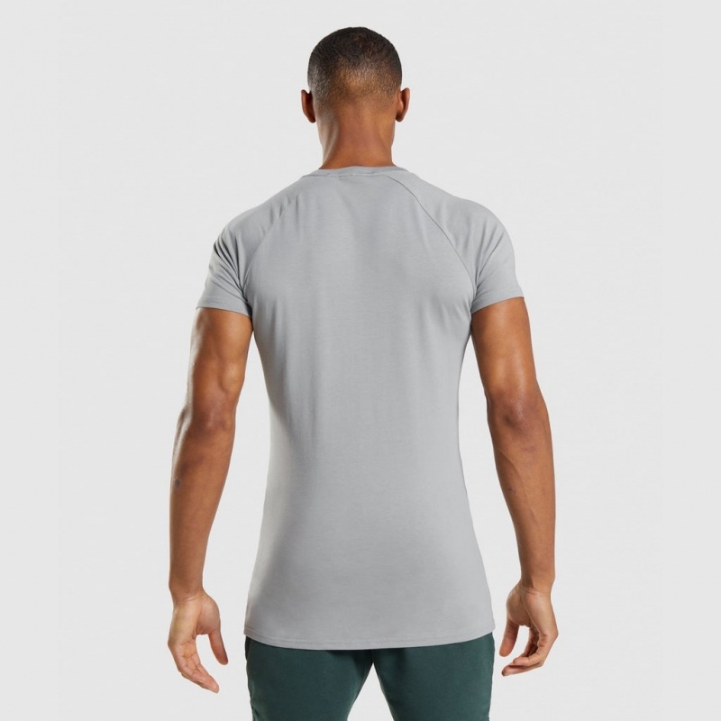 Camiseta Gymshark Apollo Gris | 29AKGZYNB