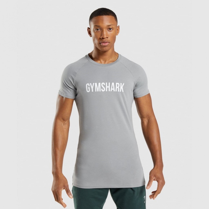 Camiseta Gymshark Apollo Gris | 29AKGZYNB