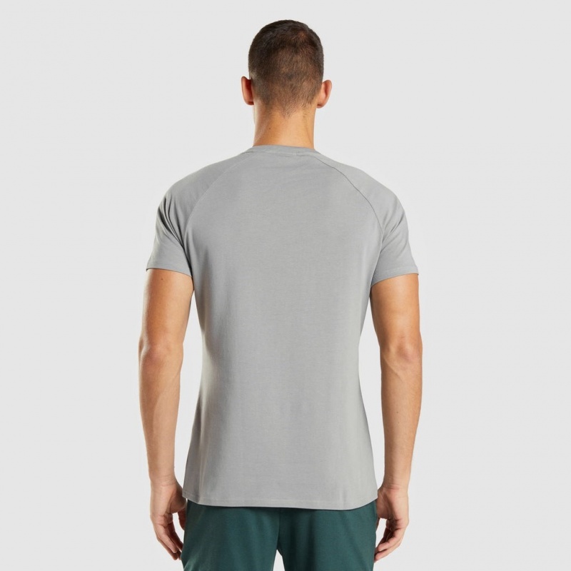 Camiseta Gymshark Apollo Gris | 89WBMQIXD
