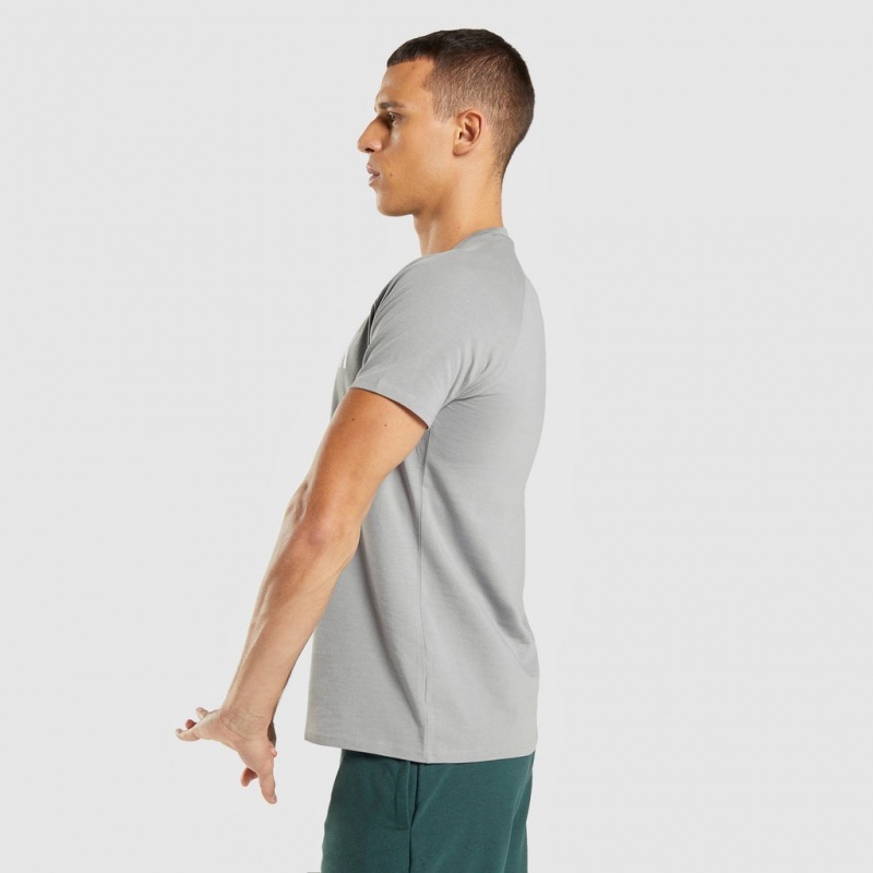 Camiseta Gymshark Apollo Gris | 89WBMQIXD