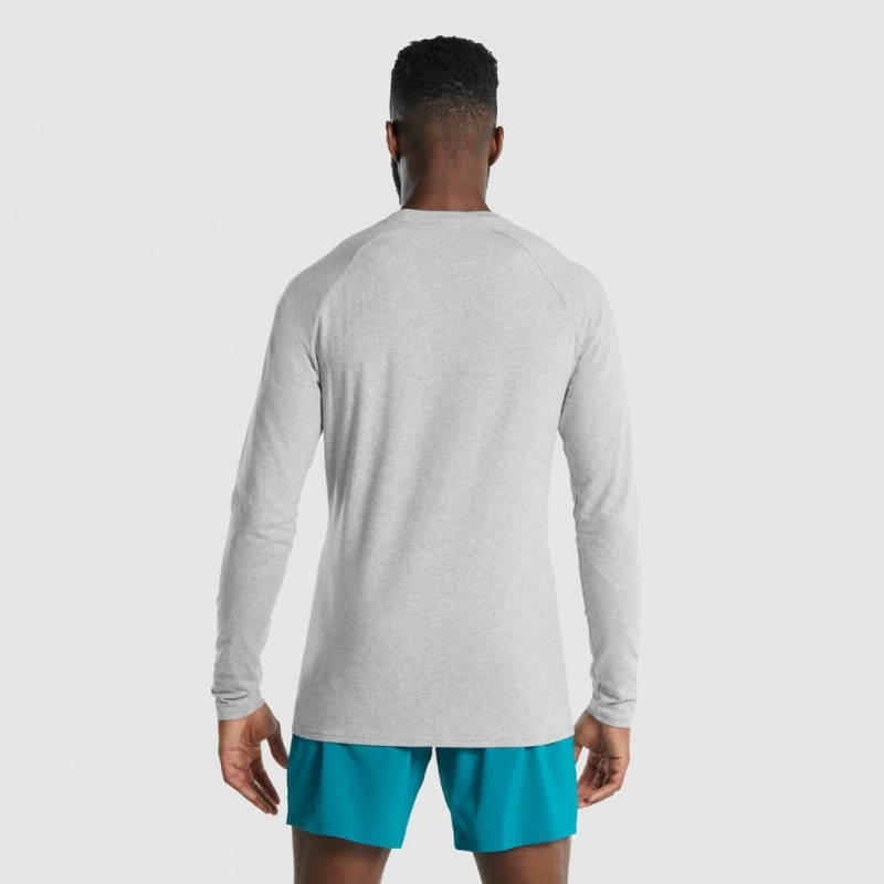 Camiseta Gymshark Apollo Long Sleeve Gris Claro | 94BQPXJFM