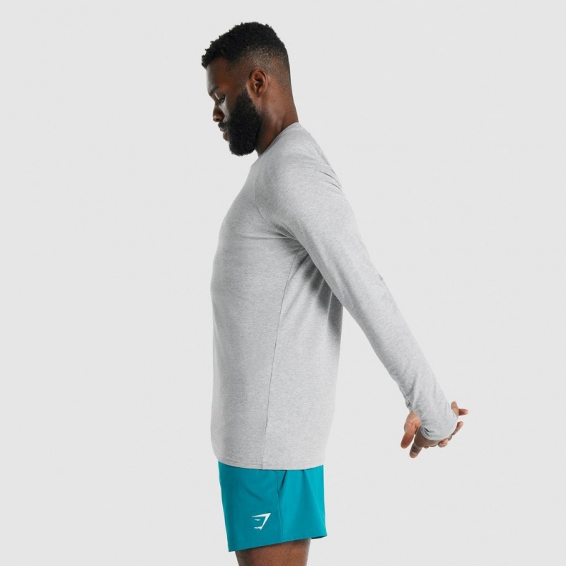 Camiseta Gymshark Apollo Long Sleeve Gris Claro | 94BQPXJFM