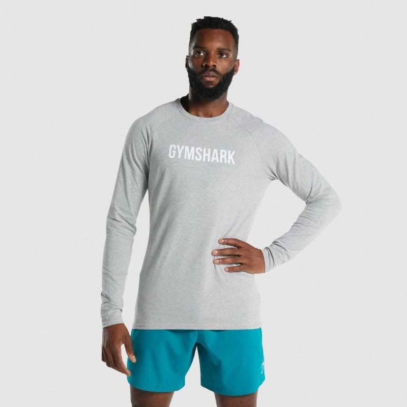 Camiseta Gymshark Apollo Long Sleeve Gris Claro | 94BQPXJFM