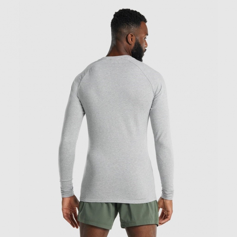 Camiseta Gymshark Apollo Long Sleeve Gris Claro | 46QSTNZHR