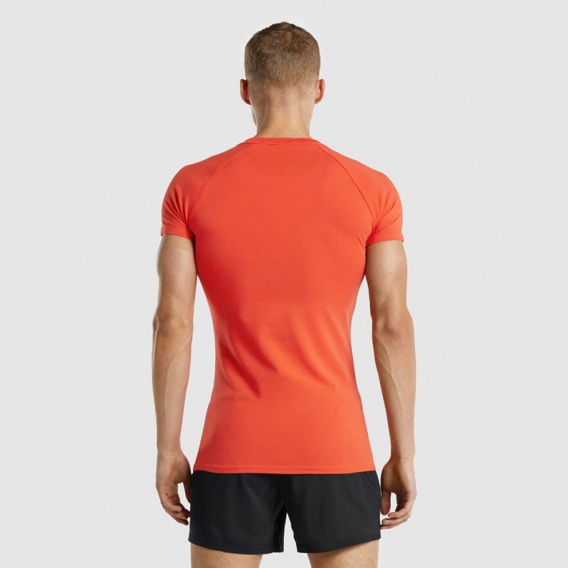 Camiseta Gymshark Apollo Naranjas | 05HSENJTG