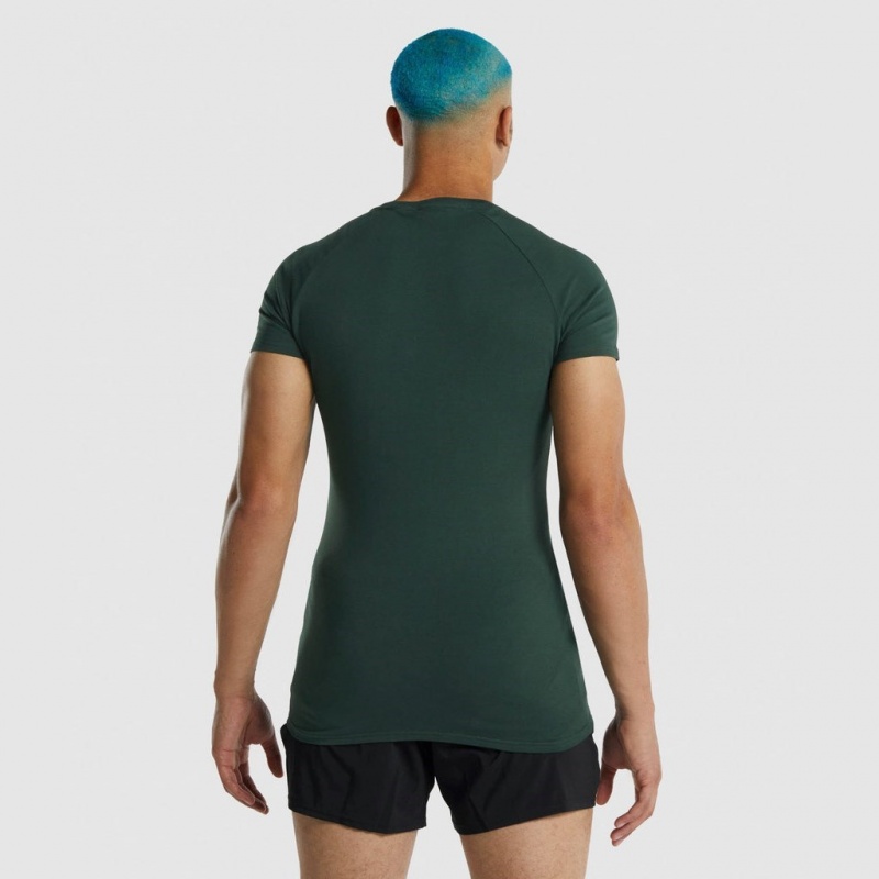 Camiseta Gymshark Apollo Verde Oscuro | 36FSDKPYV