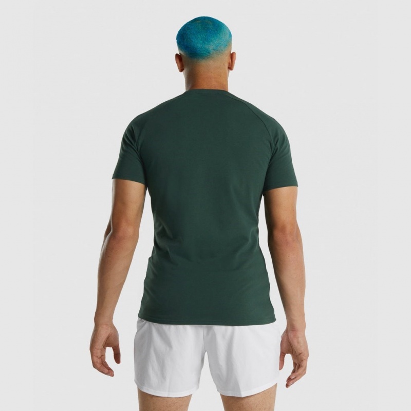 Camiseta Gymshark Apollo Verde Oscuro | 79WFXRICA