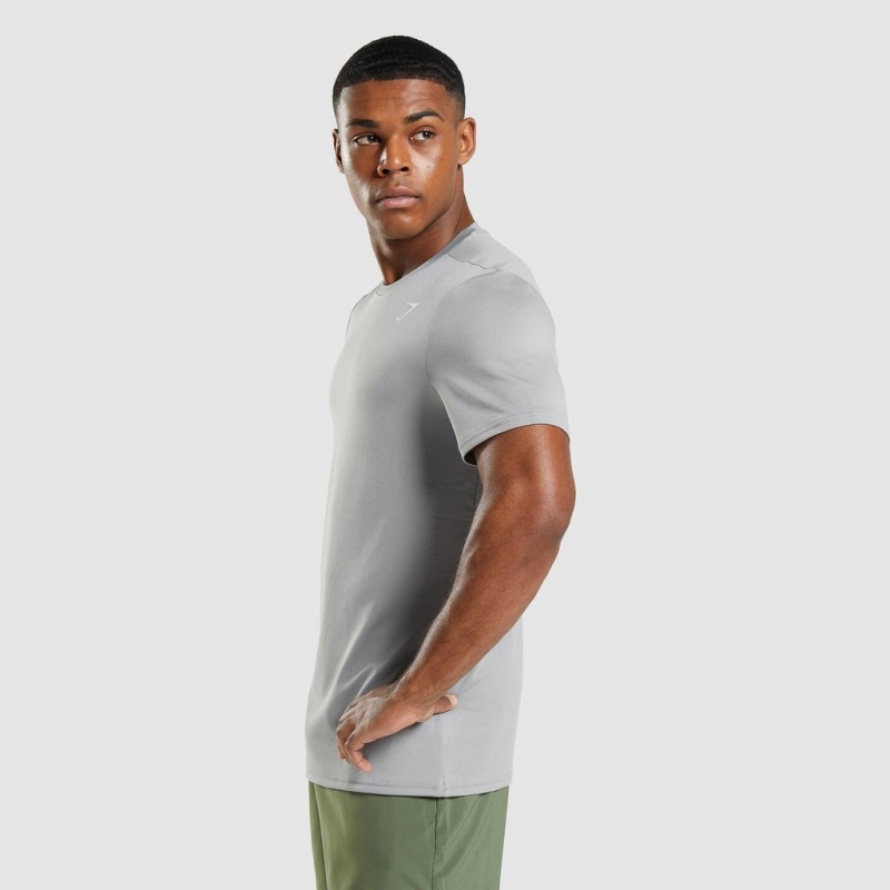 Camiseta Gymshark Arrival Gris | 98UXDGYKS