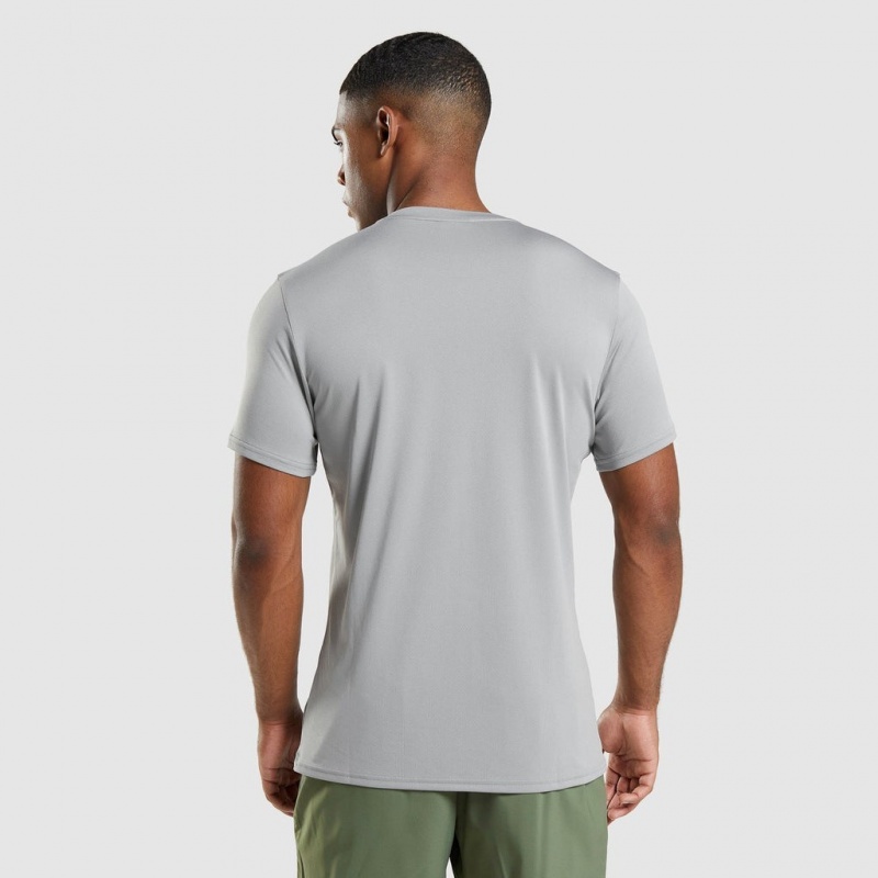 Camiseta Gymshark Arrival Gris | 98UXDGYKS