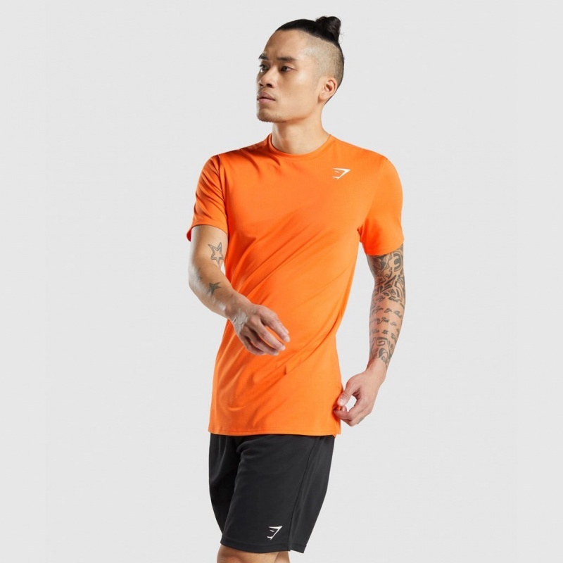 Camiseta Gymshark Arrival Naranjas | 16HWLNROG
