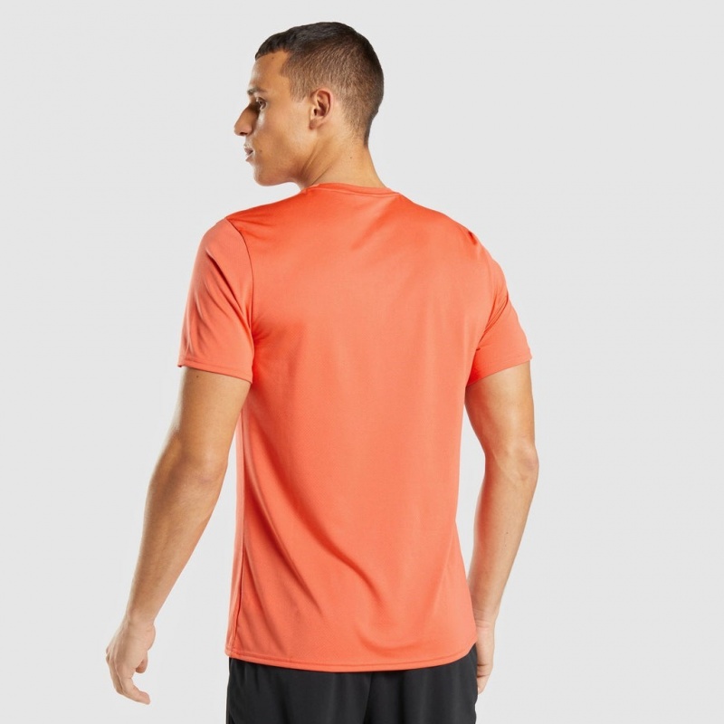 Camiseta Gymshark Arrival Naranjas | 70IKNWHGB