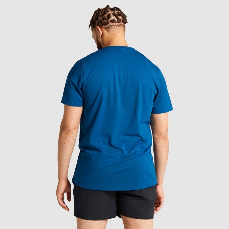 Camiseta Gymshark Arrival Regular Fit Azules | 34BWTNVRS