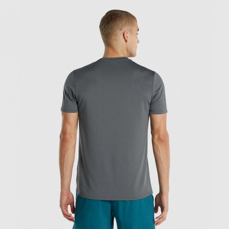 Camiseta Gymshark Arrival Regular Fit Charcoal | 83PSAXITH