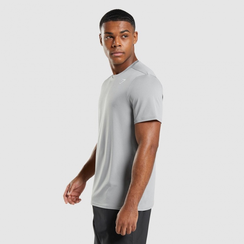 Camiseta Gymshark Arrival Regular Fit Gris | 64RACMLPS