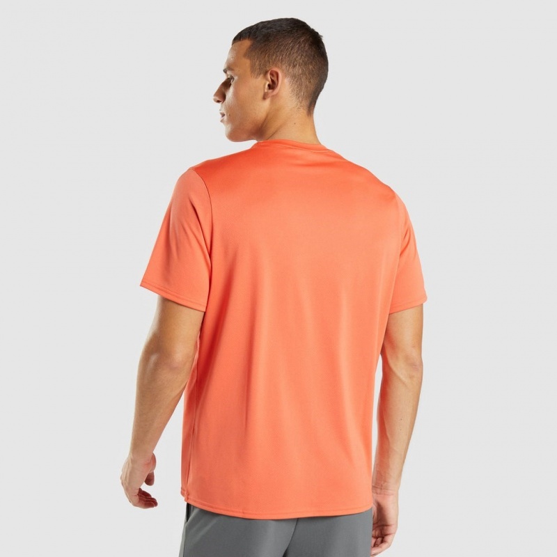 Camiseta Gymshark Arrival Regular Fit Naranjas | 31PDJTSXW