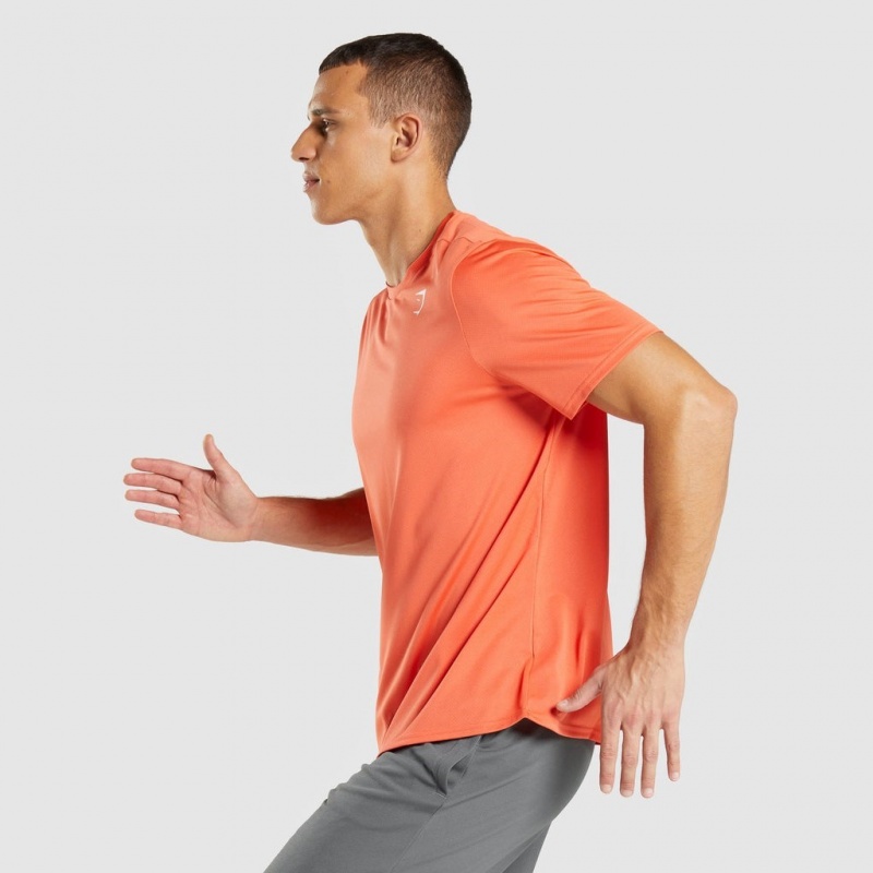 Camiseta Gymshark Arrival Regular Fit Naranjas | 31PDJTSXW