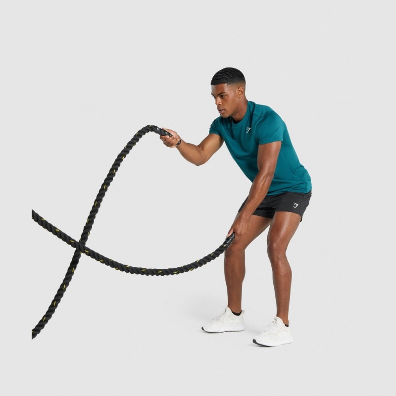 Camiseta Gymshark Arrival Regular Fit Teal | 37BLTKXUR