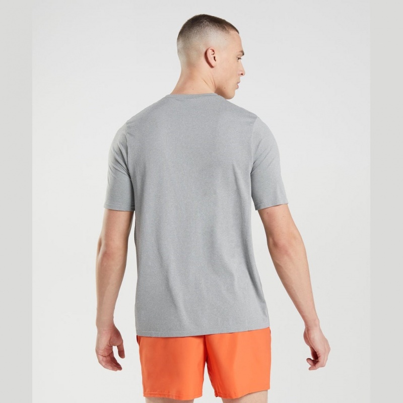 Camiseta Gymshark Arrival Seamless Gris | 20ZNQBMAO