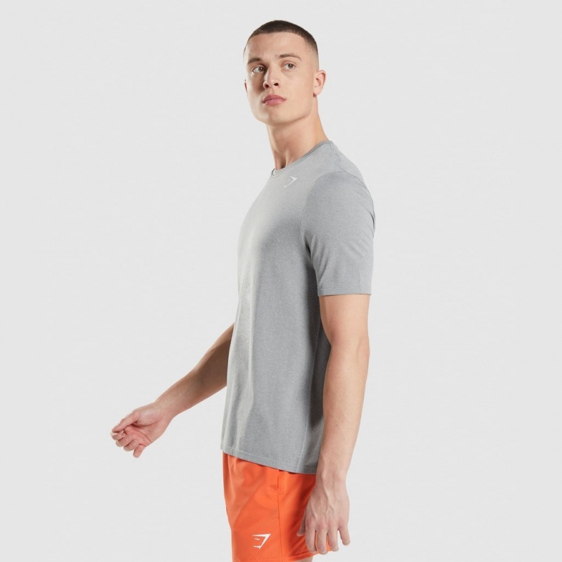 Camiseta Gymshark Arrival Seamless Gris | 20ZNQBMAO