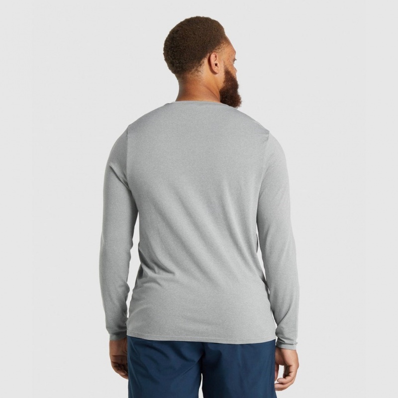 Camiseta Gymshark Arrival Seamless Long Sleeve Gris | 78GQSNBWI