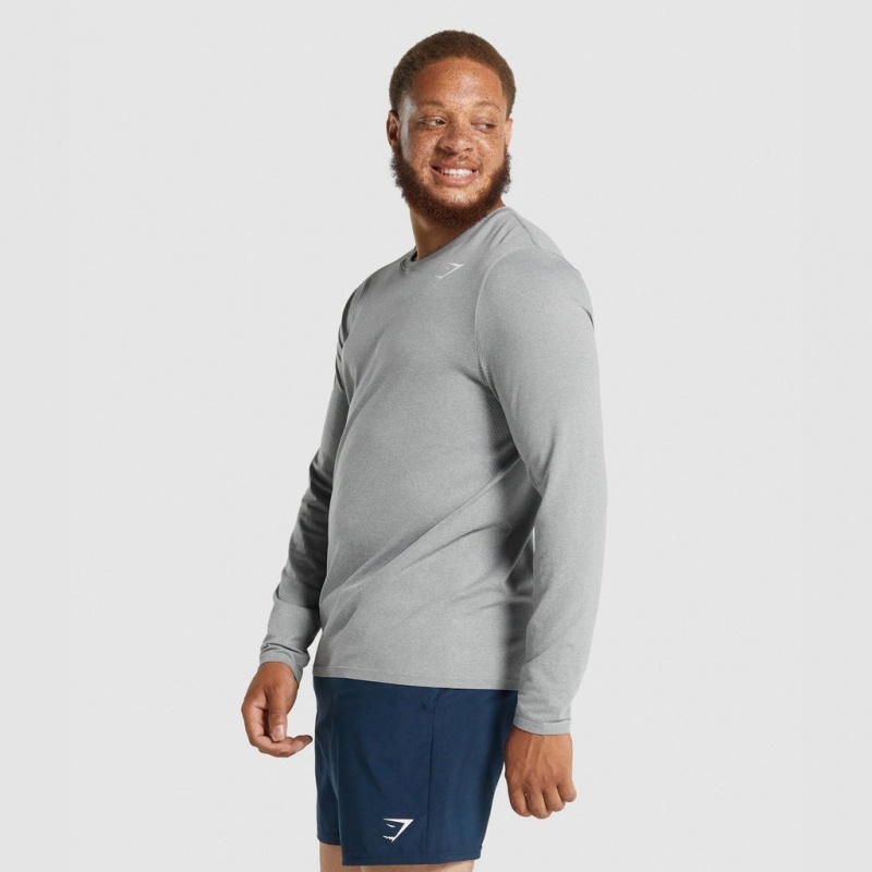 Camiseta Gymshark Arrival Seamless Long Sleeve Gris | 78GQSNBWI