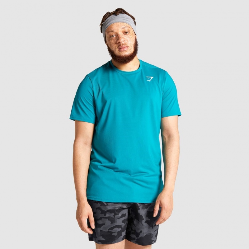 Camiseta Gymshark Arrival Teal | 13UZWALBS